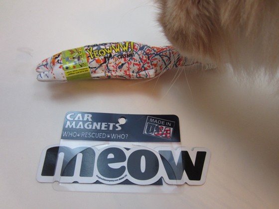 purrpacks-january-2016-magnet