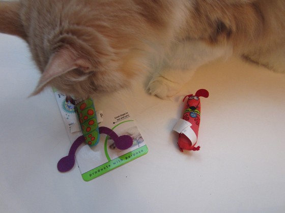 purrpacks-january-2016-toys2take1