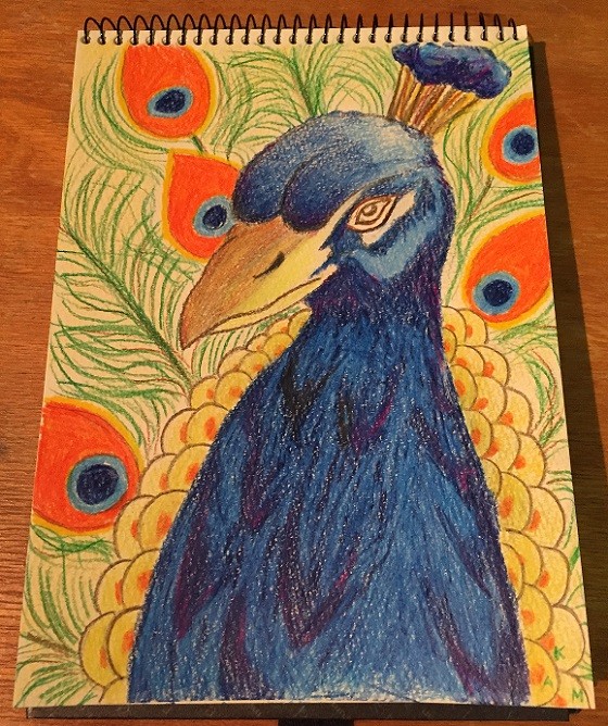 smart-art-jan-drawing