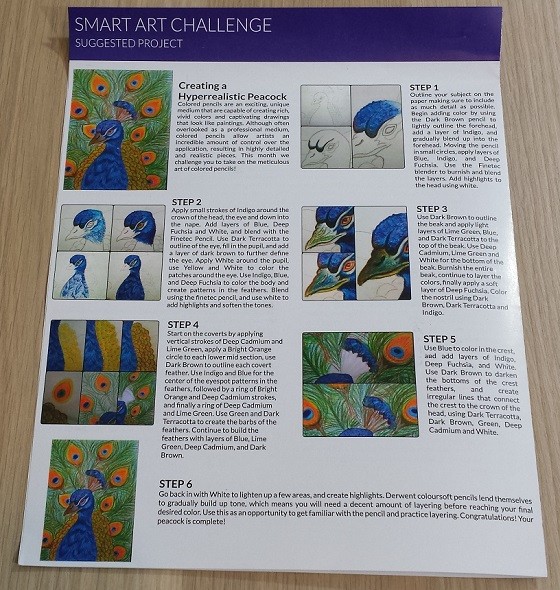 smart-art-jan-instructions