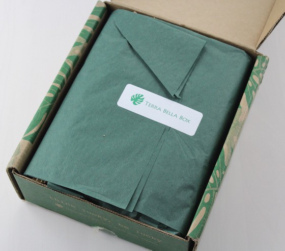 terra-bella-box-jan-2016-open