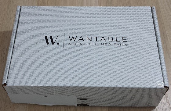 Wantable Accessories Subscription Box Review – January 2016