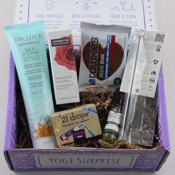 yogi-surprise-jan-2016-items