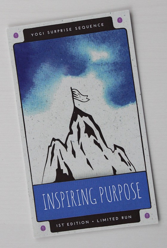 yogi-surprise-jan-2016-purpose