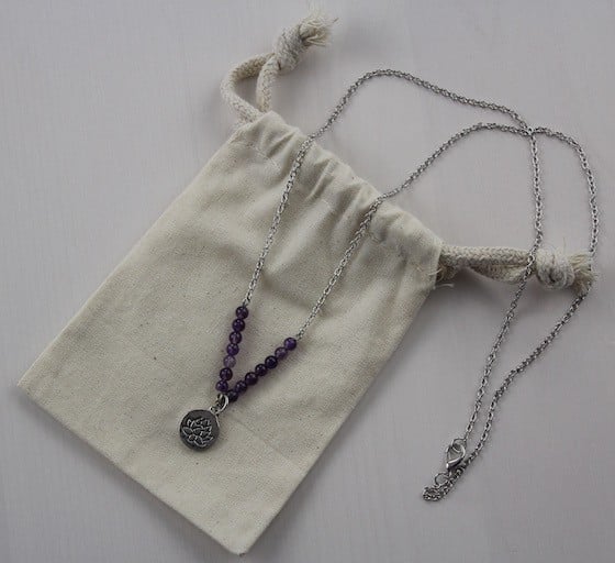 yogi-surprise-jewelry-box-jan-2016-necklace