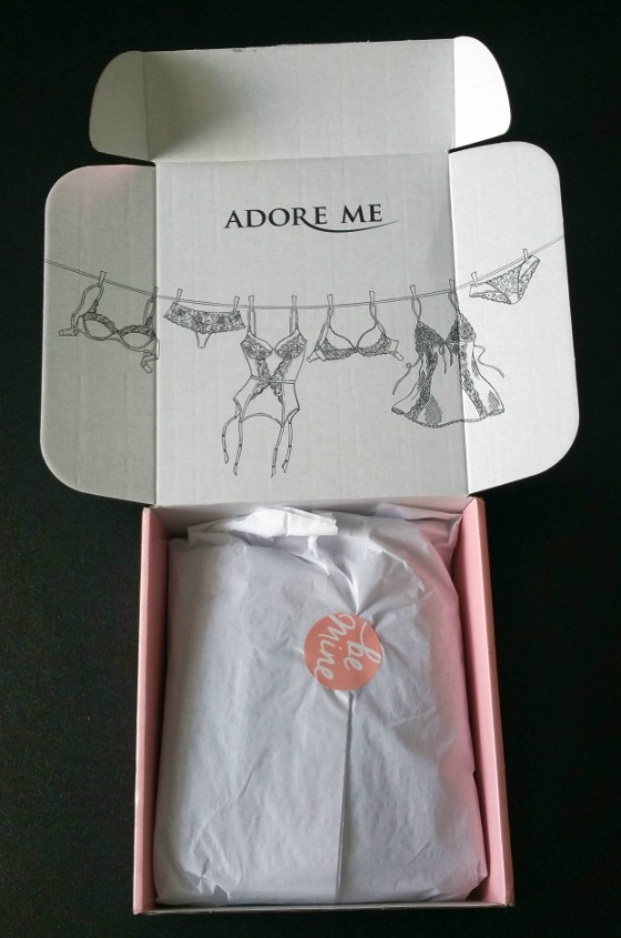 ADORE ME FEB 2016 REVIEW - packaging 1