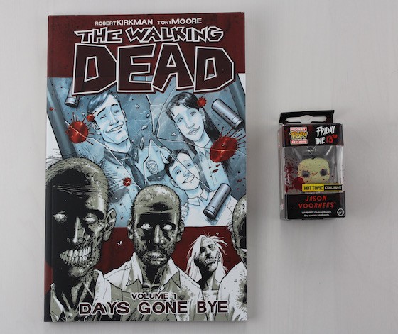 Fandora's Box Subscription Box Review February 2016 - comic and pocket POP