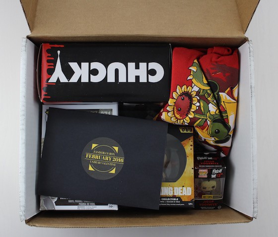 Fandora's Box Subscription Box Review February 2016 - inside