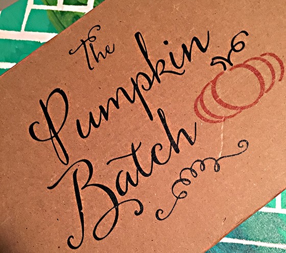 The Pumpkin Batch Subscription Box Review – February 2016