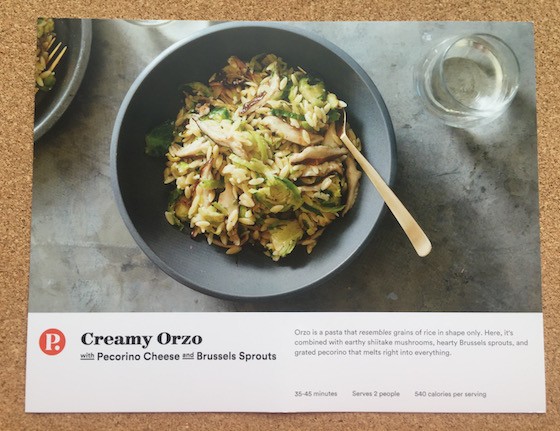 Plated-February2-2016-OrzoRecipe
