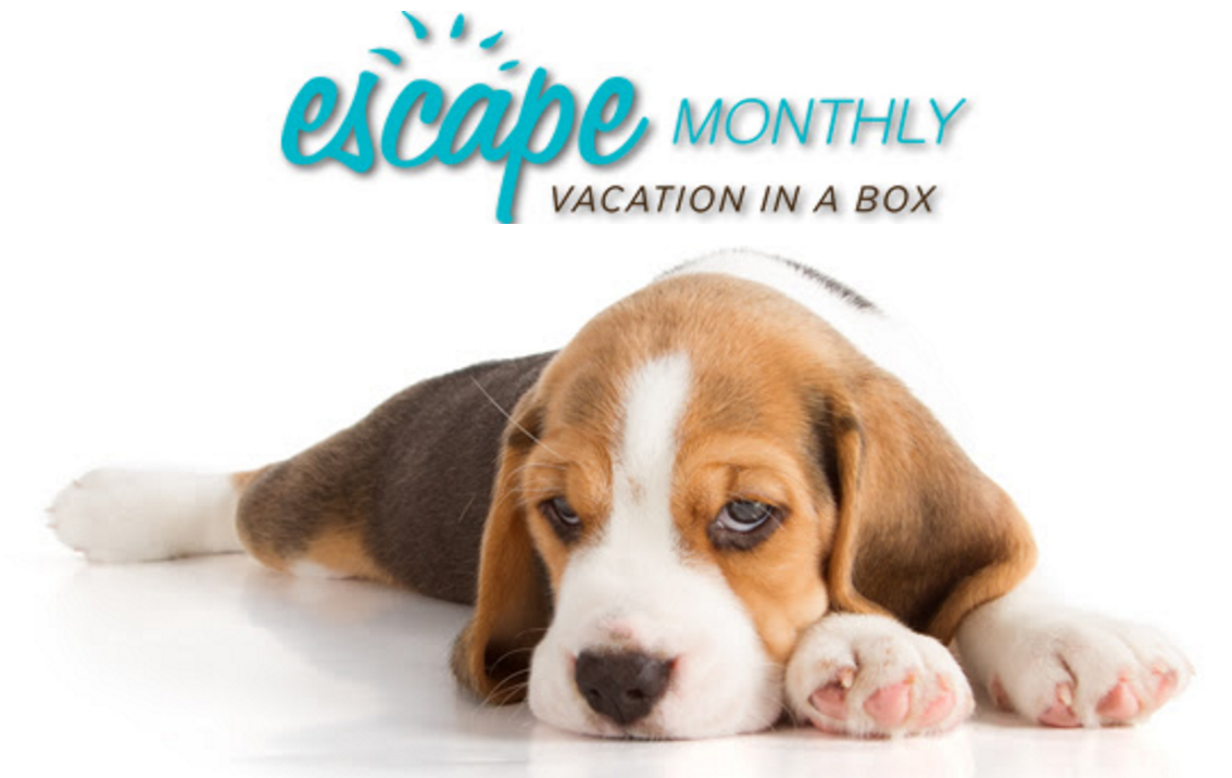 FYI – Escape Monthly is Shutting Down