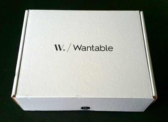 Wantable Intimates Subscription Box Review – February 2016