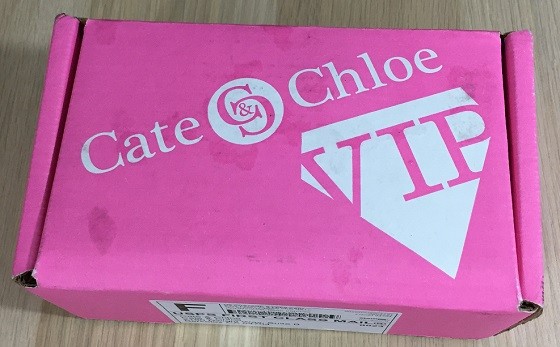 Cate & Chloe Subscription Box Review + Coupon – March 2016