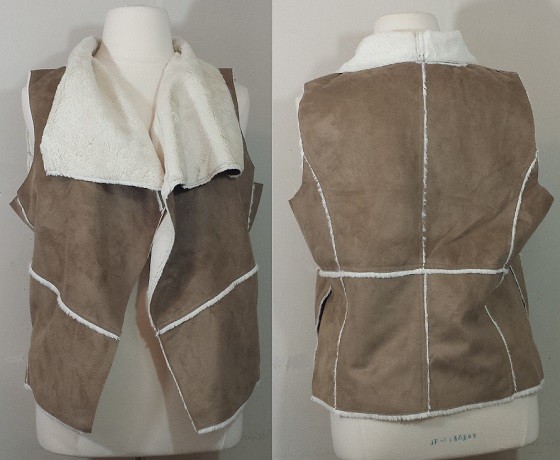 dia-jan-vest