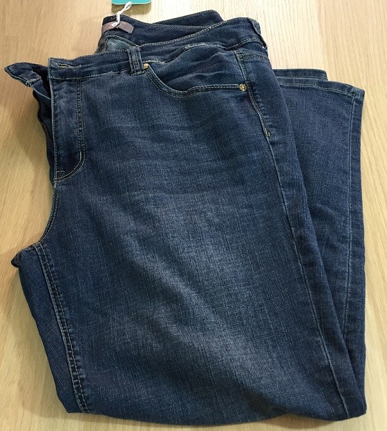 gwynnie-bee-feb-jeans