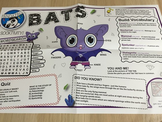 panda-pals-feb-activities