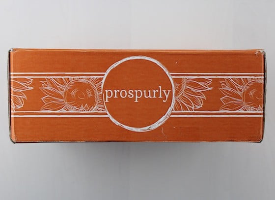 Prospurly Subscription Box Review + Coupon – January 2016