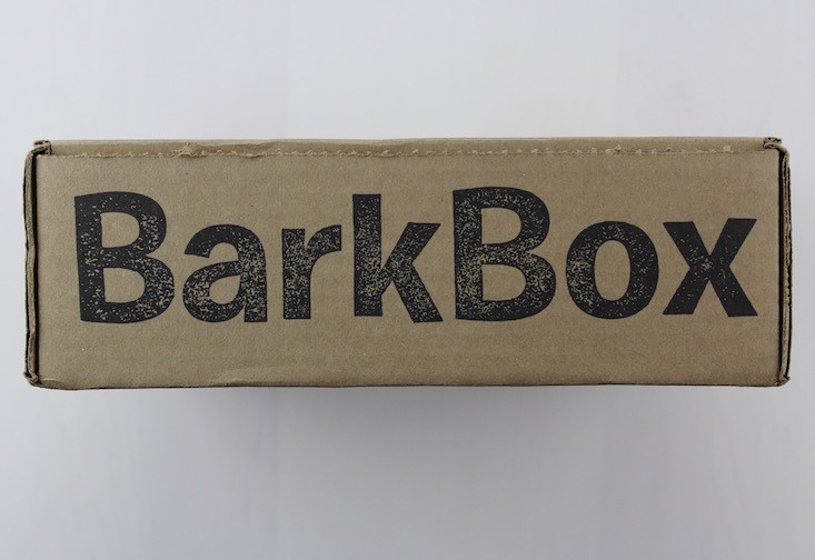 BarkBox Subscription Box Review & Coupon March 2016 - box