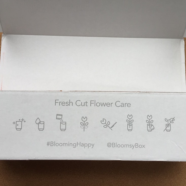 BloomsyBox-March-2016-Care