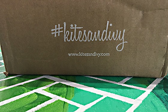 Kites & Ivy College Subscription Box Review + Coupon – Feb 2016