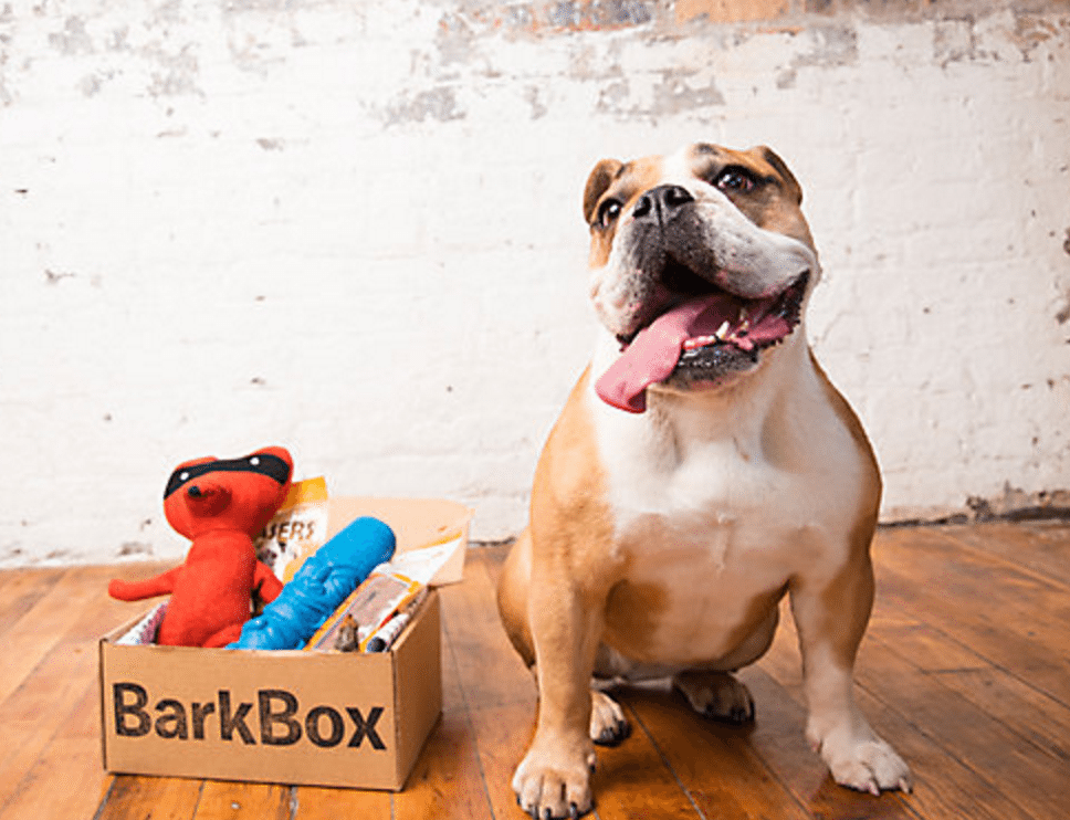 RueLaLa Sale – Bonus Toy or Bonus Box with Barkbox Subscription!