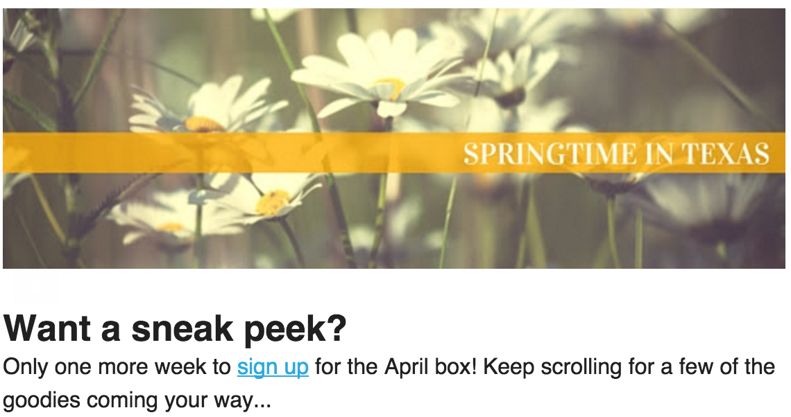 My Texas Market April 2016 Spoilers!