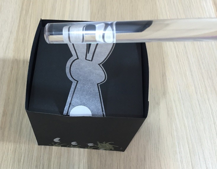 kiwi-crate-mar-bunny