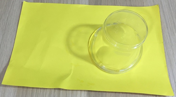 kiwi-crate-mar-cup-trick-2
