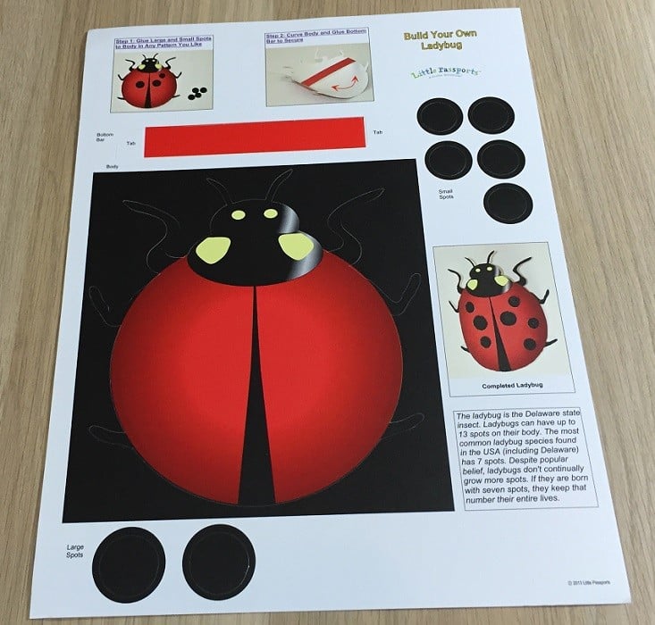 little-passports-usa-mar-ladybug