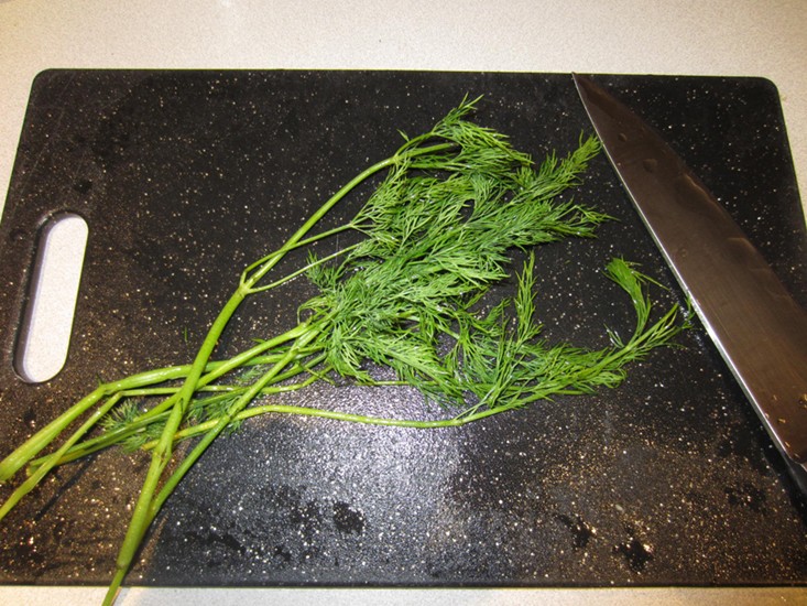 purplecarrot-march-2016-meal1dill