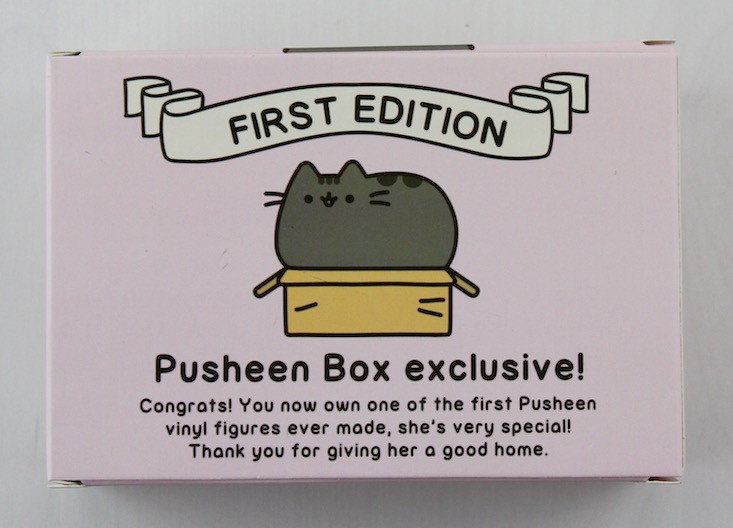 pusheen-box-winter-2015-first-edition