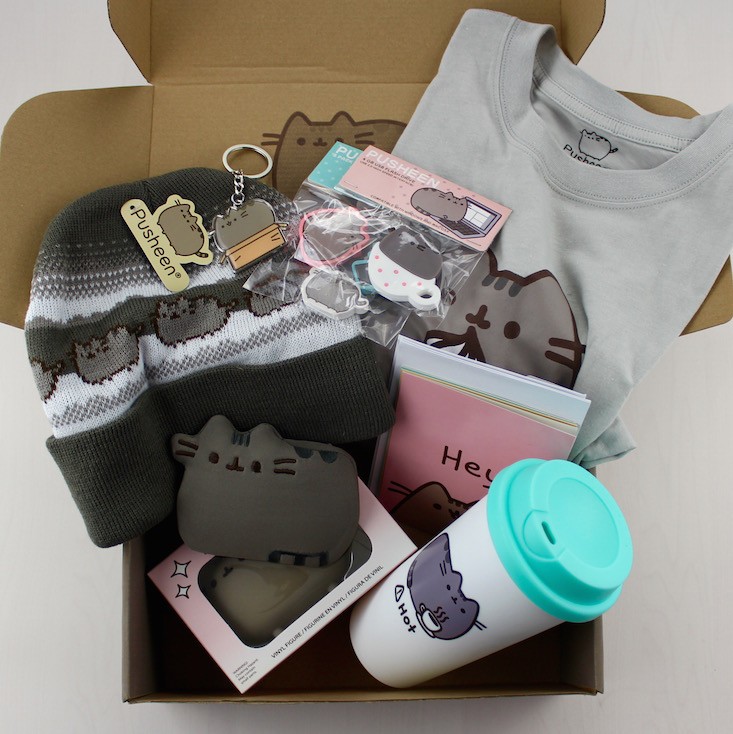 pusheen-box-winter-2015-items