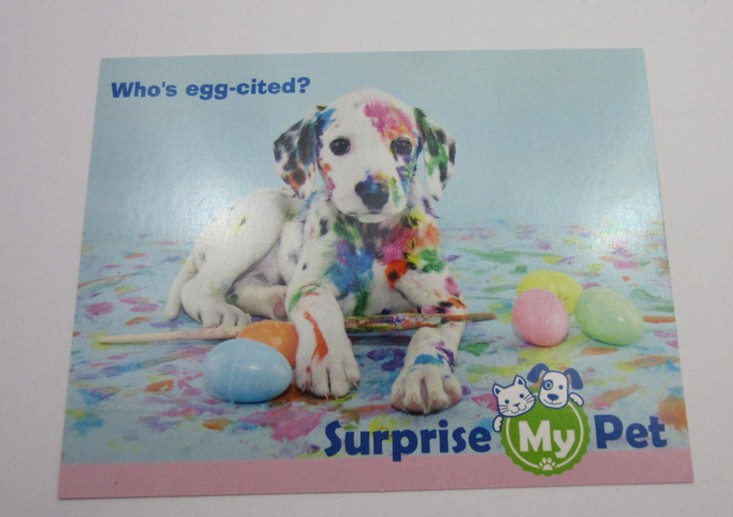 surprisemypet-march-2016-card1