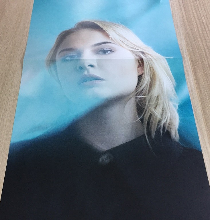 vinyl-me-mar-poster