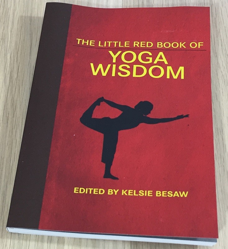 yogi-surprise-mar-book