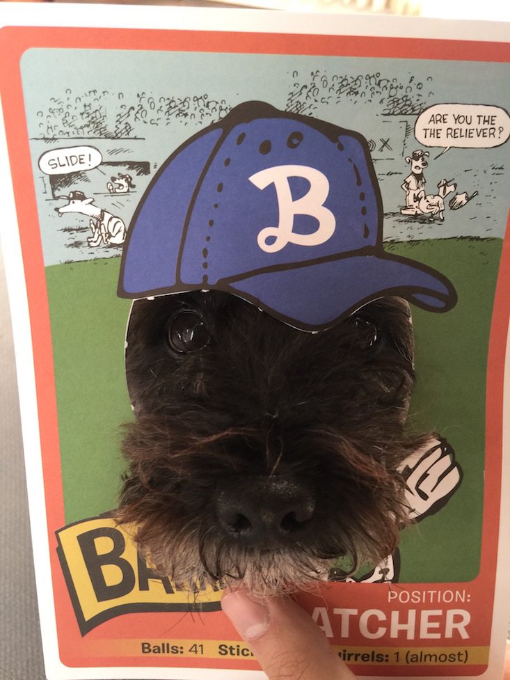 BarkBox Subscription Box Review & Coupon April 2016 - baseball card