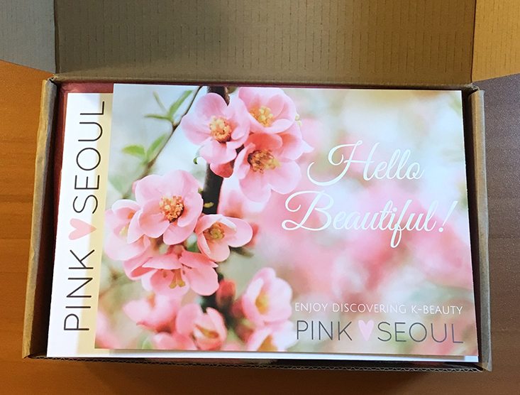 PinkSeoul-Box-March-April-2016-First-Look