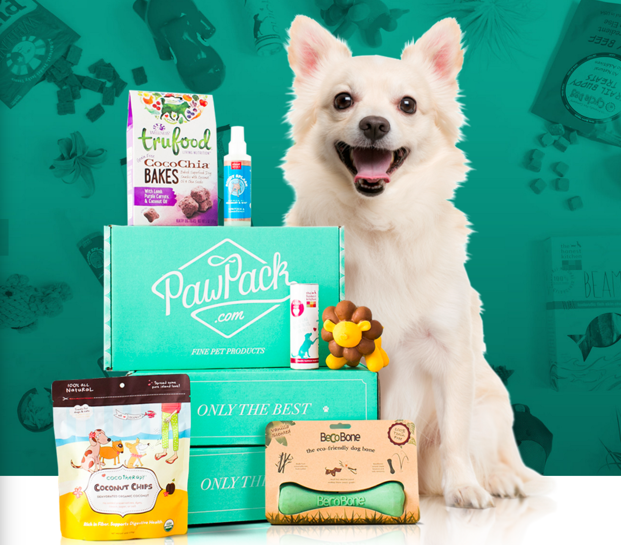 Today Only – 50% Off Of A PawPack Subscription!
