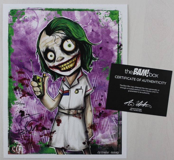 The BAM! Box Subscription Box Review + Coupon April 2016 - joker print