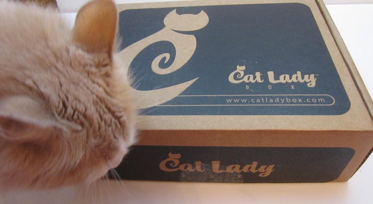 catladybox-april-2016-monkeybox