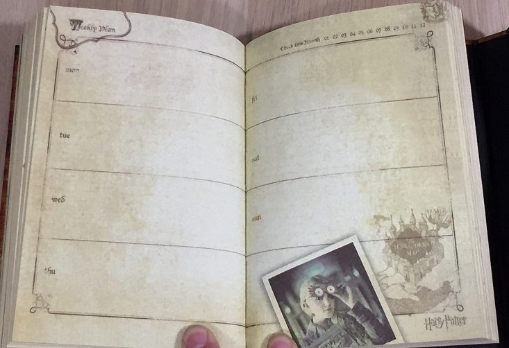fan-empire-mar-journal-2