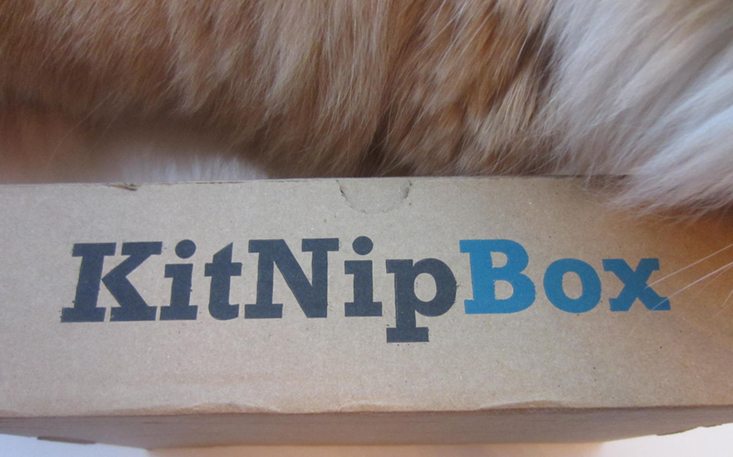 kitnipbox-april-2016-box