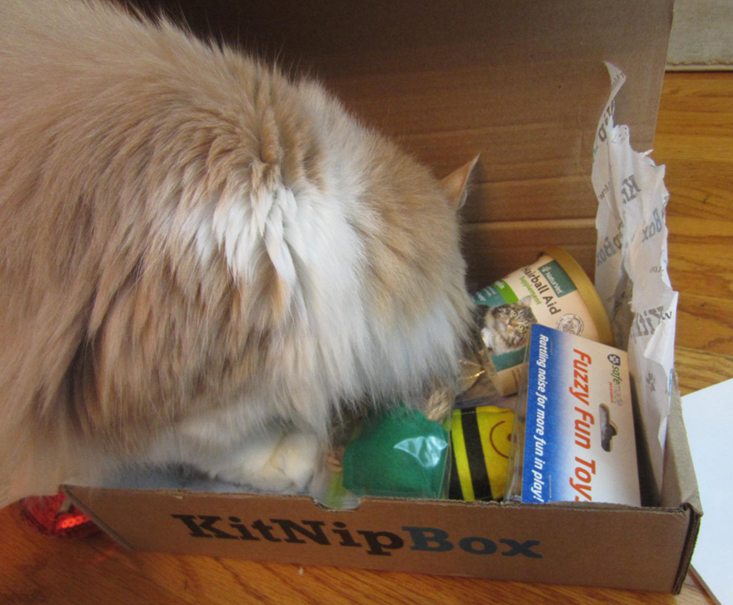 kitnipbox-april-2016-monkeybox