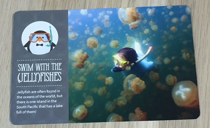 kiwibop-mar-jellyfish