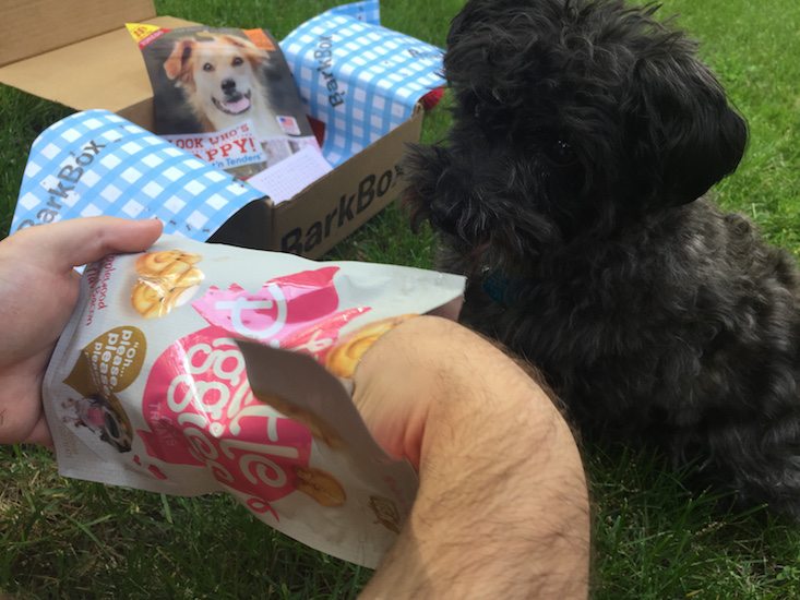 BarkBox Subscription Box Review & Coupon May 2016 - 1269