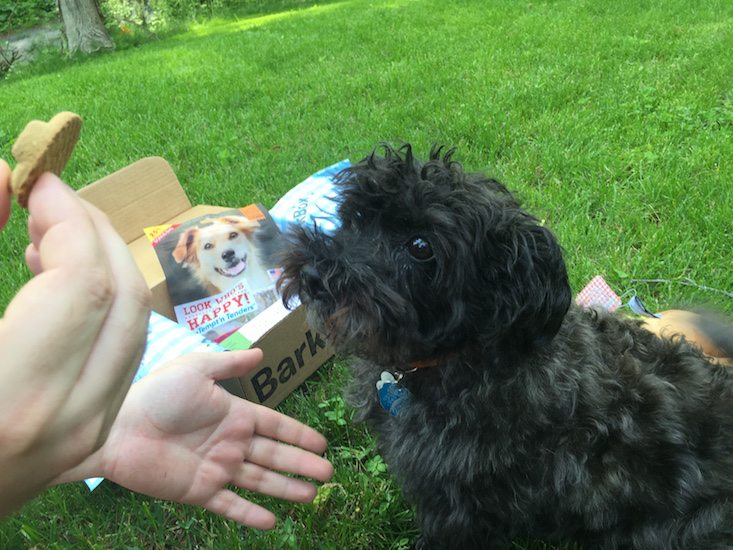 BarkBox Subscription Box Review & Coupon May 2016 - 1270