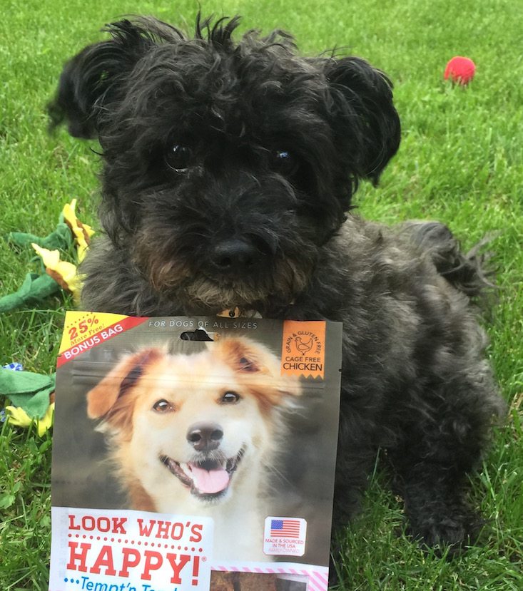 BarkBox Subscription Box Review & Coupon May 2016 - 1280