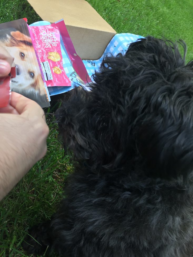 BarkBox Subscription Box Review & Coupon May 2016 - 1300