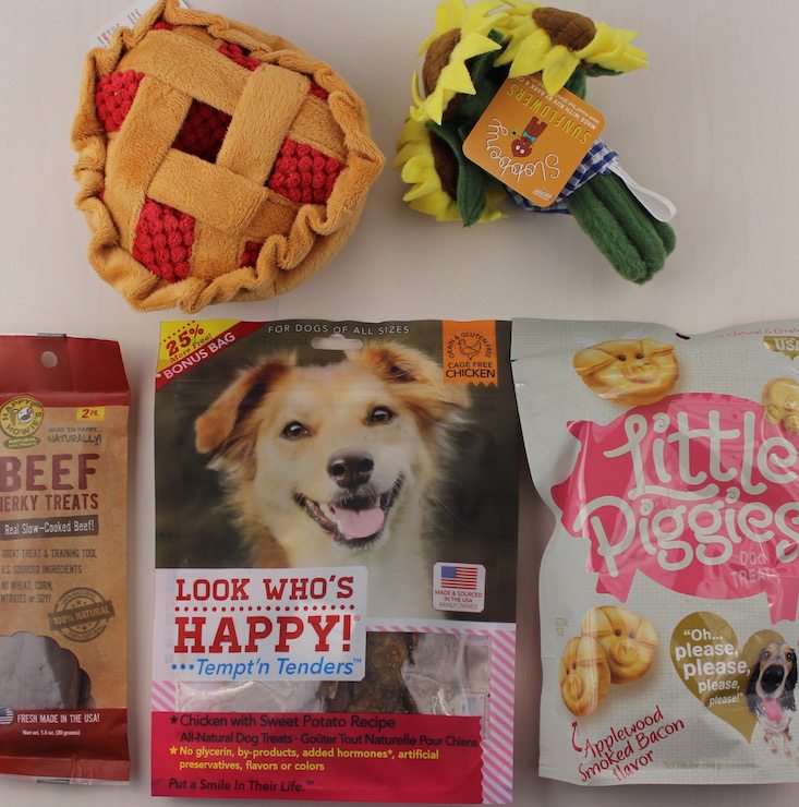 BarkBox Subscription Box Review & Coupon May 2016 - all items