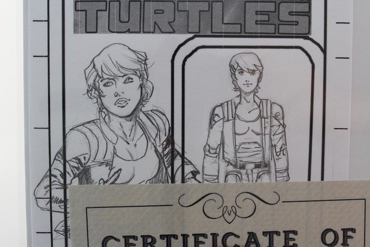 Blindbox-Comics-Subscription-Box-Review-Coupon-March-2016-close-up-of-handdrawn-item